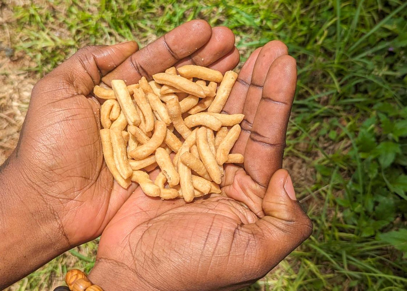 Hands cupped together facing the camera. They are holding a handful of chin-chin, a fried, oblong, crunchy snack. The hands are hovering over grass and are in the sunshine.