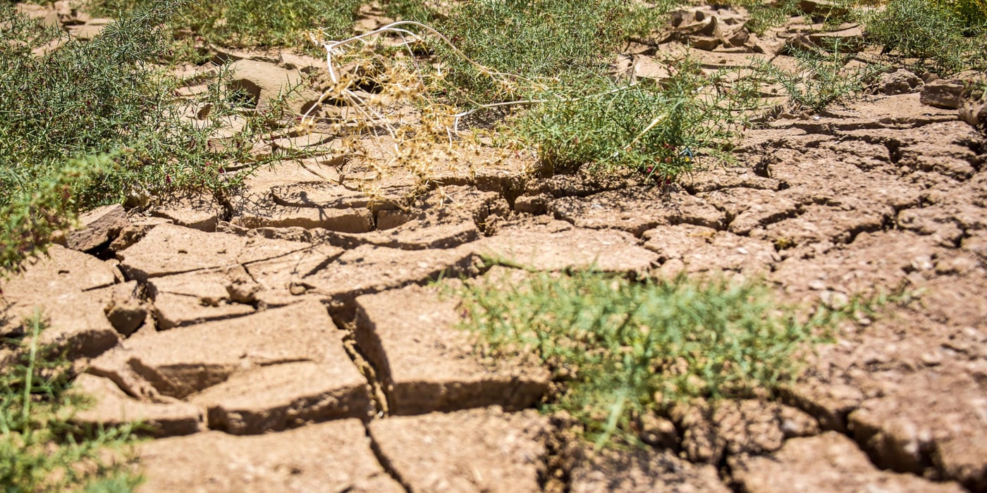 Dry, cracked ground due to drought, with patches of green shrubbery in between. (Photo: Tareq Mnadili/NRC)