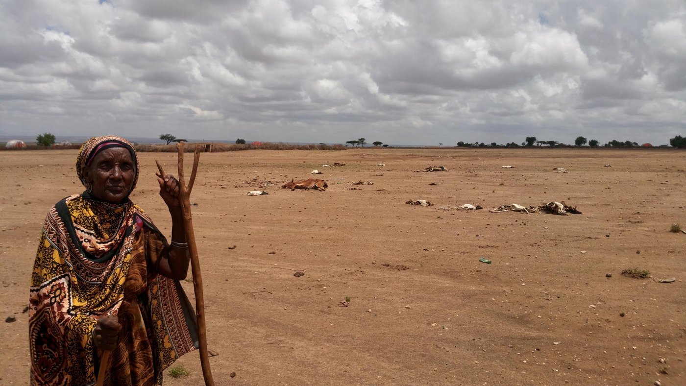 Drought affecting more than 10,2 million people in Ethiopia. This woman is in the Sitti zone of the Somali region.