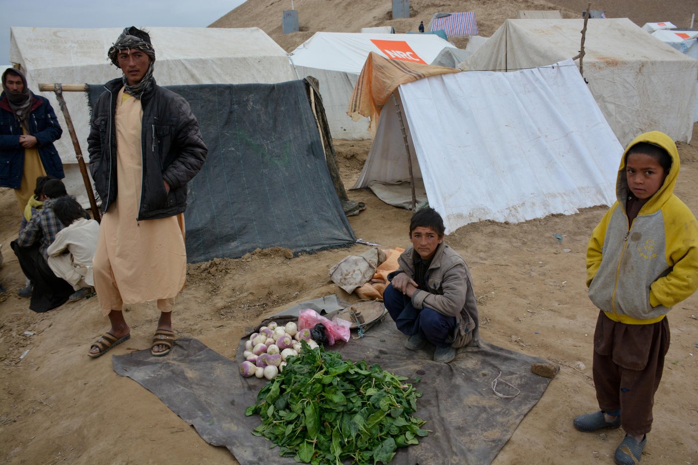 A boy in Feristan IDP settlement camp selling vegetables. “what else can I do here. some people have money and buy it and the rest are all asking it to pay in different installments. It is good. I’m happy. At least there will remain some for me at the end of the day to take home and cook.” Photo: NRC/Enayatullah Azad