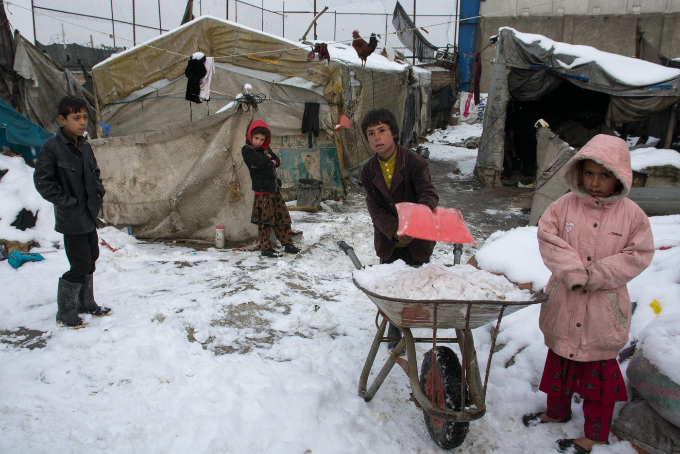 The displaced children sweeping snow off around their makeshift tents in Kabul to stop them from sliding when it’s frozen.
The first snowfall of the year is a happy news for millions of Afghans that have been badly hit by drought, but it adds misery to the life of thousands more living inside a plastic sheeting in the informal settlements in and around Kabul.
"I was collecting scraps on the street and now the streets are blanketed with snowfall and we can't find things. i have stayed back at home and I will go back on the streets when the snow is melted," Said Agha Omar, 12.
None of the children on the picture go to school. They are busy collecting plastics, papers and cans on the street.
PHoto: NRC/Enayatullah Azad
