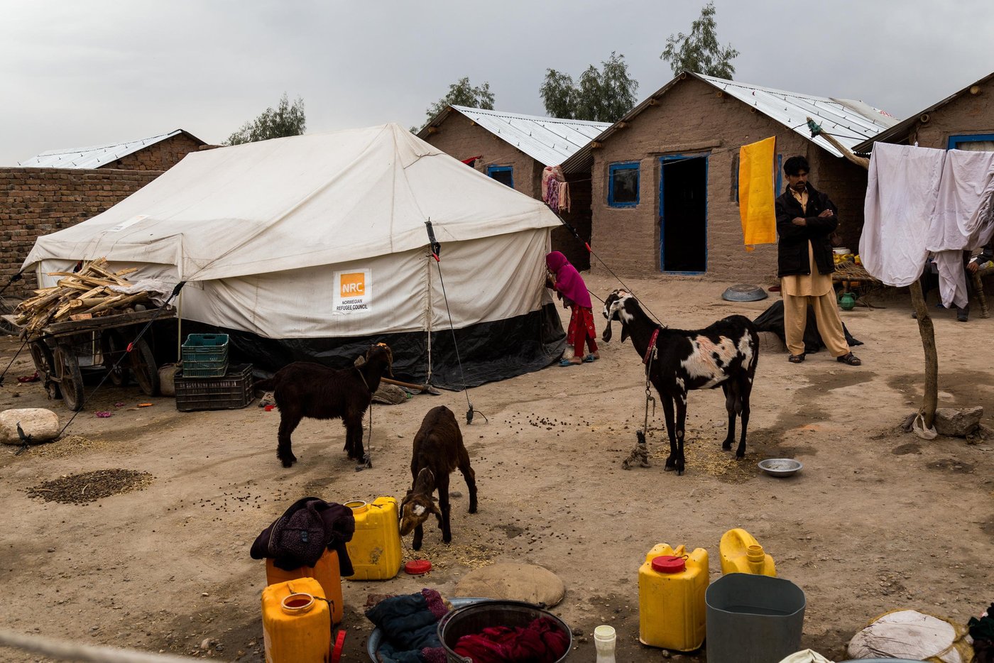 Shelters in Surkh Rod, Nangarhar, provided by NRC for the Khan family, who returned to Afghanistan recently from Pakistan after harassment from the authorities.
Nangarhar, February 2017
NRC/Jim Huylebroek