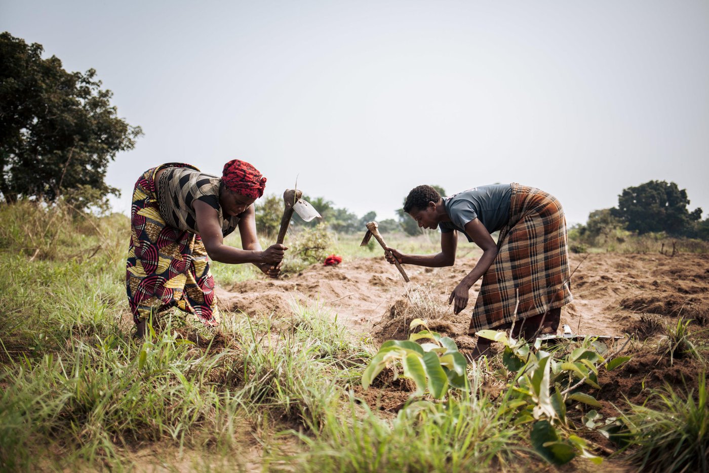 Sangamai Teka and her friend, Therèse Galula, work a field for a land owner in Mbulungu.  They are paid with meagre amounts of food for their labour.  Sangamai is a recipient of NRC's cash-for-shelter program launched in Kasai-Central in 2017.

Over 1 million people have returned to their homes in Kasai-Central after a year of violent conflict within the province and across the Greater Kasai Region.  Unfortunately, people who have returned have found their homes and fields pillaged and burned to the ground.  These farming communities have no shelter, no food to eat and no means of sustaining any viable livelihood.

Earlier this year, NRC visited Mbulungu and Bakuakashila, two villages ravaged by the regional conflict in 2017.  NRC used its “community-based approach” by consulting with these communities to better understand their primary needs, to properly target the most vulnerable people and facilitate their ability to choose the assistance they require.

This intervention, however, is only a drop in the ocean of the vast needs of this community.  NRC is currently the only humanitarian actor in the zone and funding is not enough to address other acute needs such as food assistance, household items and education.  The Humanitarian Response Plan is currently only 25 per cent funded eight months into the year.  Humanitarian capacity is critically low.  If donors do not act now for the people of Mbulungu and for the rest of DR Congo, it will be too late.