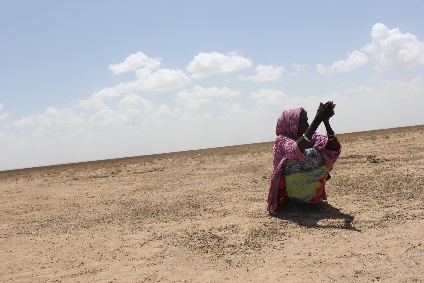Ethiopia is experiencing one of the most severe droughts in half a century due to the effects of El Niño. Significant rainfall deficits – up to 50 percent below average – have severely impacted the lives and livelihoods of farmers and herders throughout the country. Following two consecutive poor rainy seasons – belg (February to May) and kiremt (June to September) – harvests were well below average, with some regions experiencing between 50 and 90 percent crop loss.