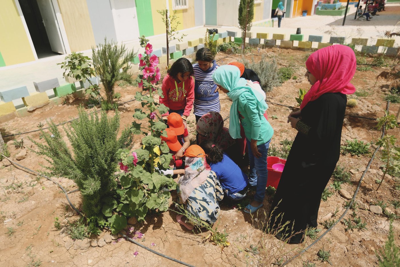 A group of girls aged between 12-14 years old planting flowers seeds at NRC Education Centre in Azraq Refugee Camp.
17th May 2016
Photo: NRC/ Hussein Amri