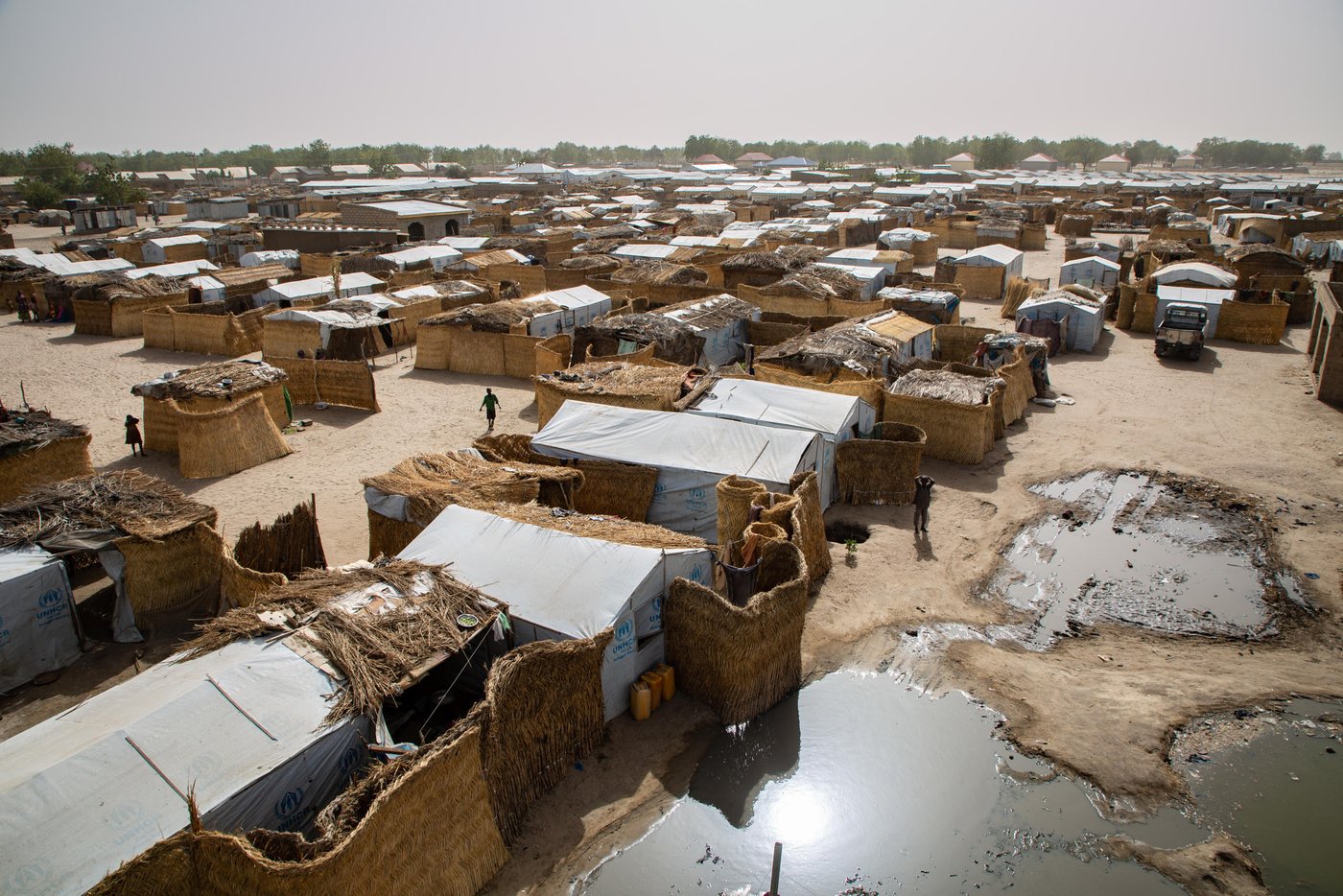 Taken: 12 March 2020
Photo: Tom Peyre-Costa/NRC