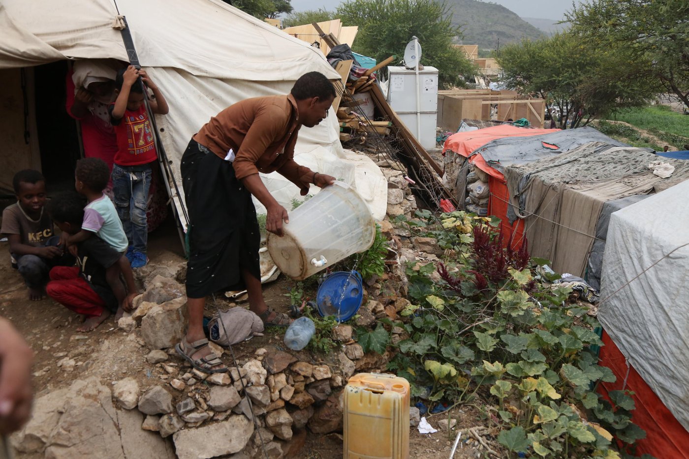 Ahmed waters the pumpkin tree that he planted beside his tent in Al-Malika camp in Taiz.
Photo: Khalid Al-Banna/NRC