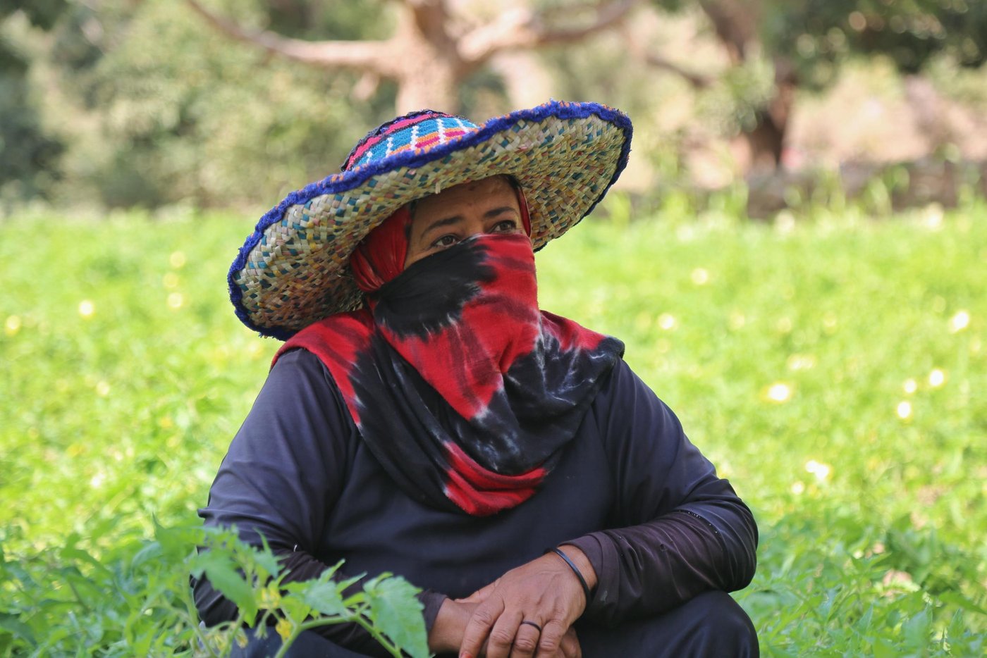 Rashidah Abdu is the sole breadwinner for her five children, the eldest of whom is only 14 years old. She has been working to provide for them and help them to stay in school. 

“I used to work with people in farms, in houses or any available work. Sometimes I worked for one day and then couldn’t find more work. It was a struggle to provide for my family,” she says.

The money Rashidah earned was very little, so she hoped to start her own farm.
 
With support from the Yemen Humanitarian Fund (YHF), NRC has helped 500 people to plant vegetables in Taiz’s Al-Mawaset district, including Rashidah. These families have been provided with seeds and trained in good farming practices. NRC also provided the farmers with cash to help them plough and water their farmlands.
 
“NRC helped us with seeds, money, tools and everything we need to start farming. Water also is available so I’m happy to farm,” Rashidah adds. She planted okra, onion and tomatoes and works on her crops from early in the morning until sunset.

“Sometimes we return home too tired from the hard work to cook, so we buy bread from the shop. However, we can find enough food now as we have already started to sell the harvest. Before, we struggled to get enough food and other basics, but now everything is within reach. Our life is better after farming. Instead of working for others we work on our own crops and get enough money.”

Rashidah’s children go to school in the morning and help her in the fields in the afternoon. She now can provide her children with books, materials, and clothes for school.

“I’m planning to continue farming in the coming seasons and hope I will find seeds and money to continue,” Rashidah says.
“All people want to help themselves and their families and I will do my best to keep planting in the coming seasons.”

Rashidah doesn’t have her own land so she is farming someone else’s land, who allow her plant there to help her family.
“I thank NRC for the seeds, money and all their efforts to help us make an income of our own.”

Text: Nasser Abdulkareem/NRC
Photo: Khalid Al-Banna/NRC