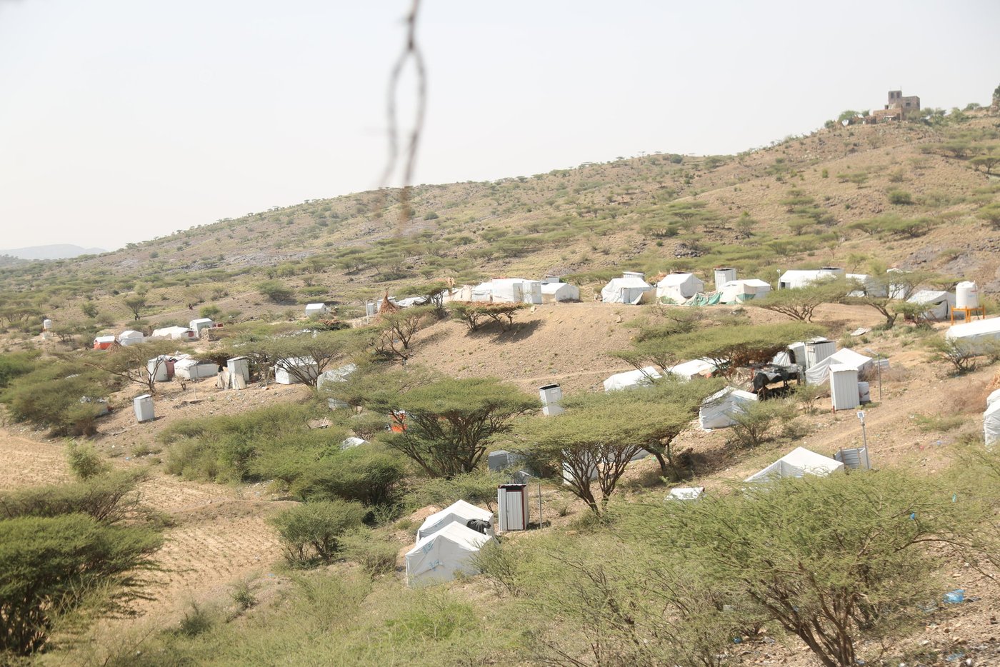 Landscape shot of Al-Rahabah camp. Tents are scattered in between trees and shrubbery. 