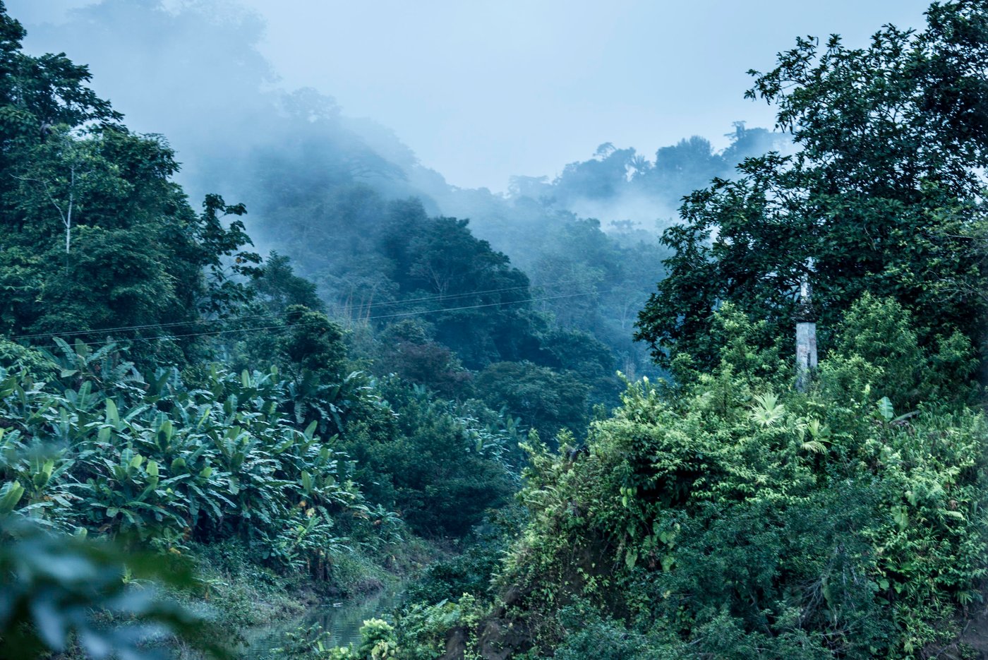 In October 2017, more than 1,0000 people fled to the village of Catrú in Colombia's Chocó region.
"They came because they feared that more people would be killed," says one of the community leaders in Catrú, home to the indigenous Embera people.
The Pacific region, particularly Chocó, has become a battleground for clashes between the National Liberation Army (ELN) and another armed group. Indigenous and Afro-Colombian communities have been disproportionally affected. Seven out of ten people displaced this year come from these communities.
In many areas previously controlled by FARC, armed conflict is still ongoing. In some areas, the fighting has increased since FARC laid down their weapons, as armed groups are attempting to take control over strategic areas, natural resources and important drug routes. In many places, paramilitary groups have moved in, causing increased fear among the population. Violence has increased throughout the country, as has the number of local leaders being murdered.
The Norwegian Refugee Council (NRC) has been present in Colombia since 1991. In Chocó, we inform indigenous groups about their rights and provide legal aid in questions relating to land rights and compensation after having been forced to flee. In Catrú we help make sure that children get to go to school, and provide clean water to the community.
Photo: Ana Karina Delgado Diaz/NRC
