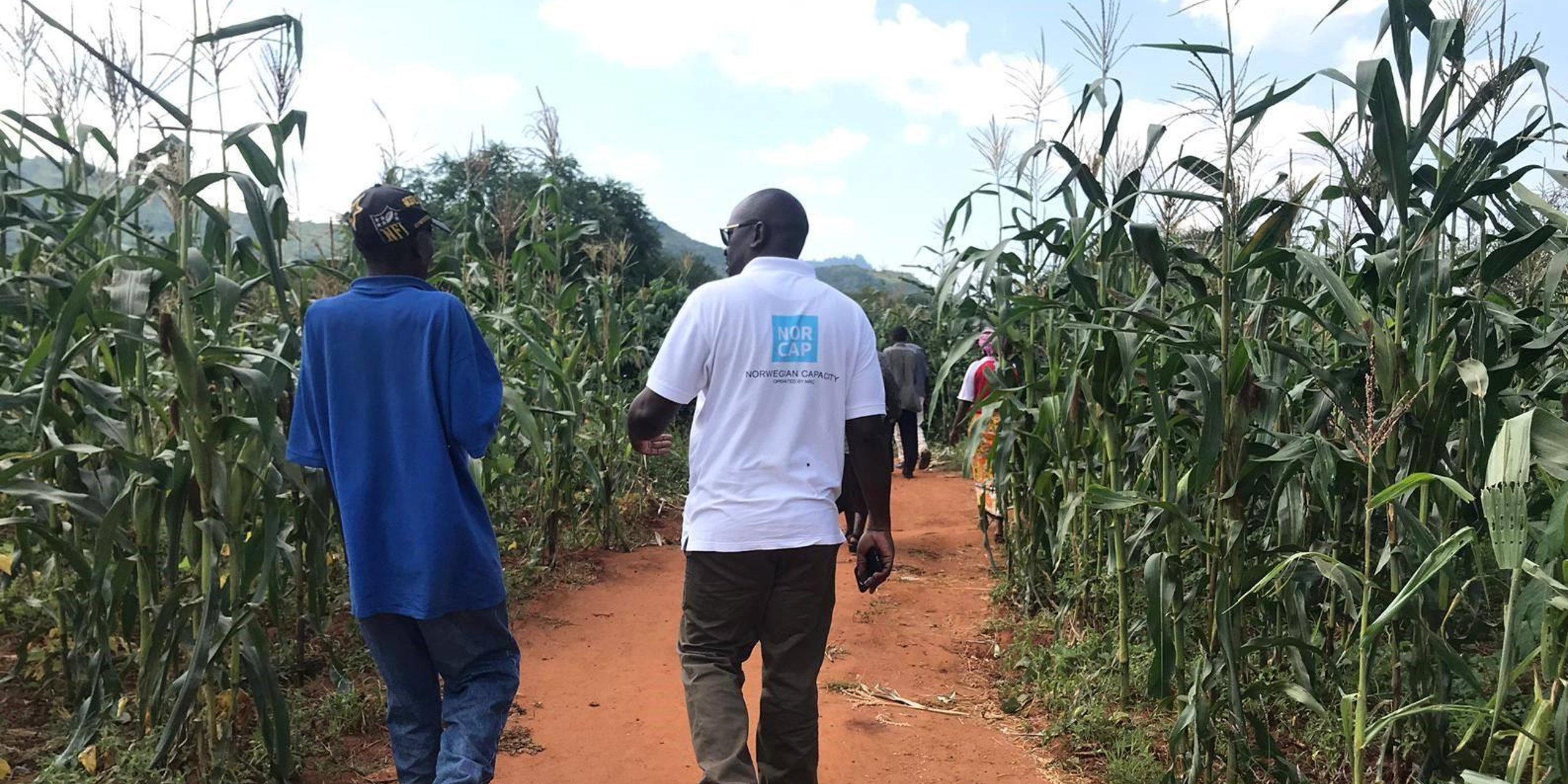 NORCAP expert Collison Lore Winga walking with a maize farmer in a maize field in Bura, Taita Taveta.