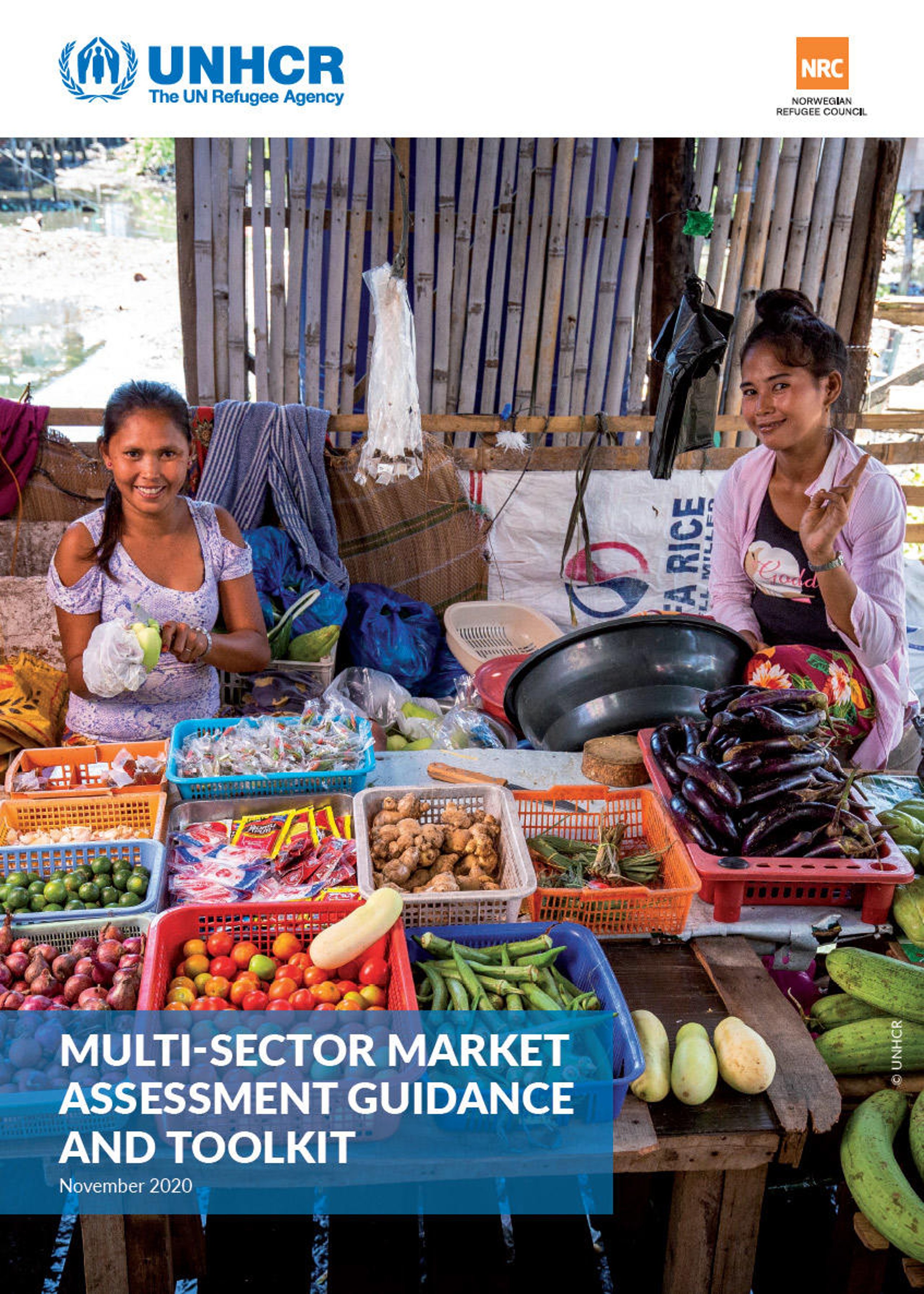 Multi-Sector Market Assessment Guidance and Toolkit | NRC