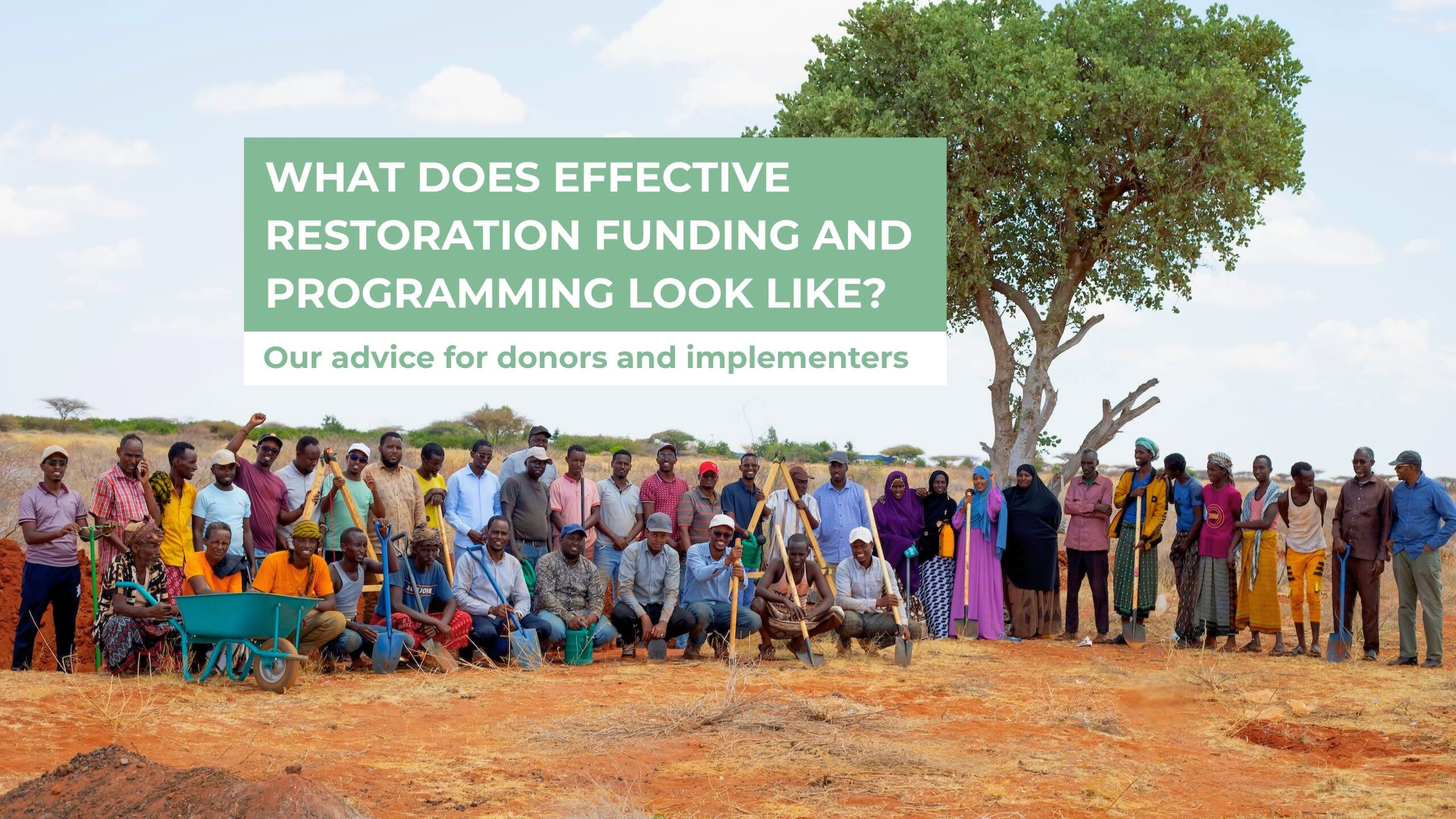 What do effective restoration programmes and funding look like? Our ...