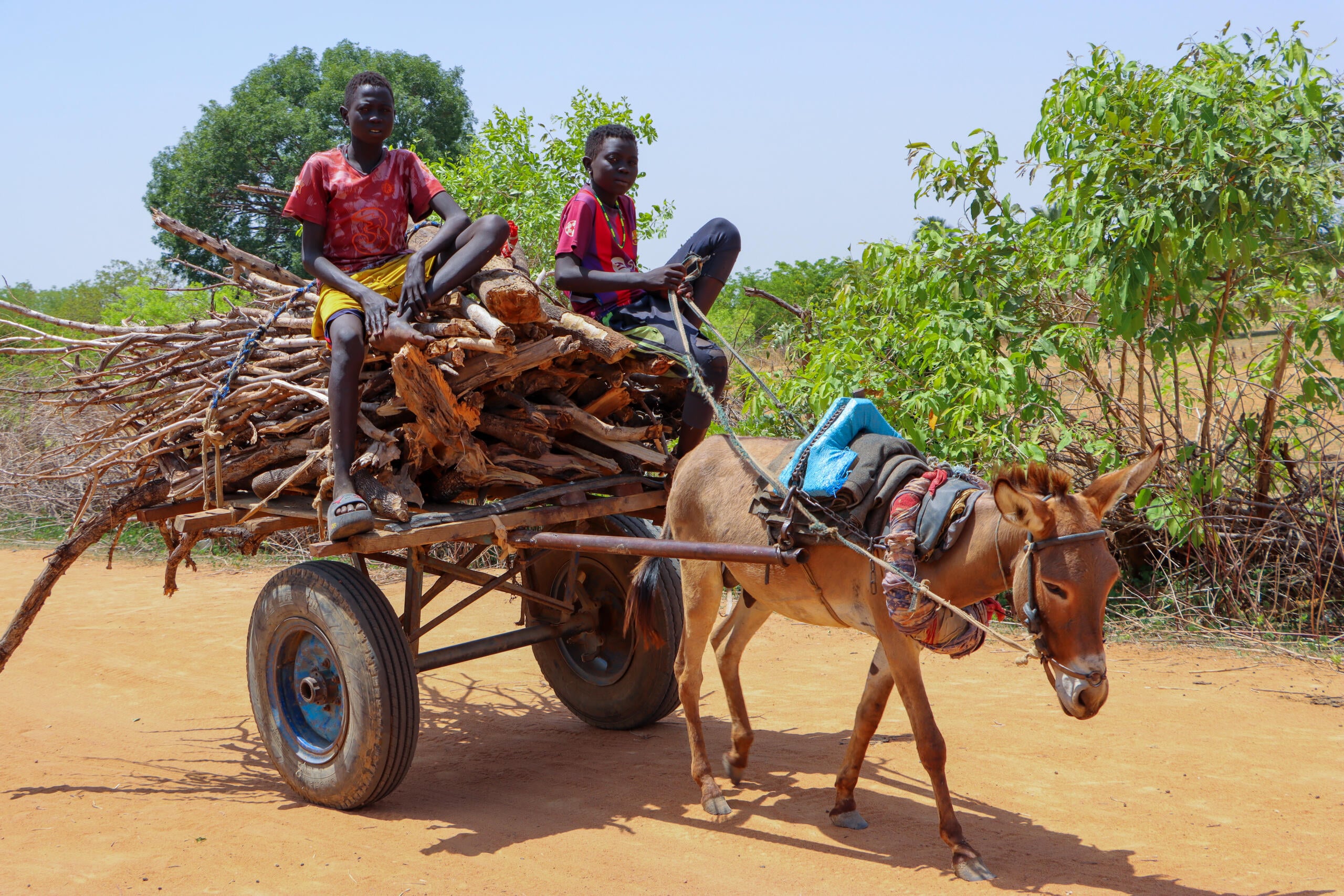 Arriving in South Sudan with nothing but their stories of survival