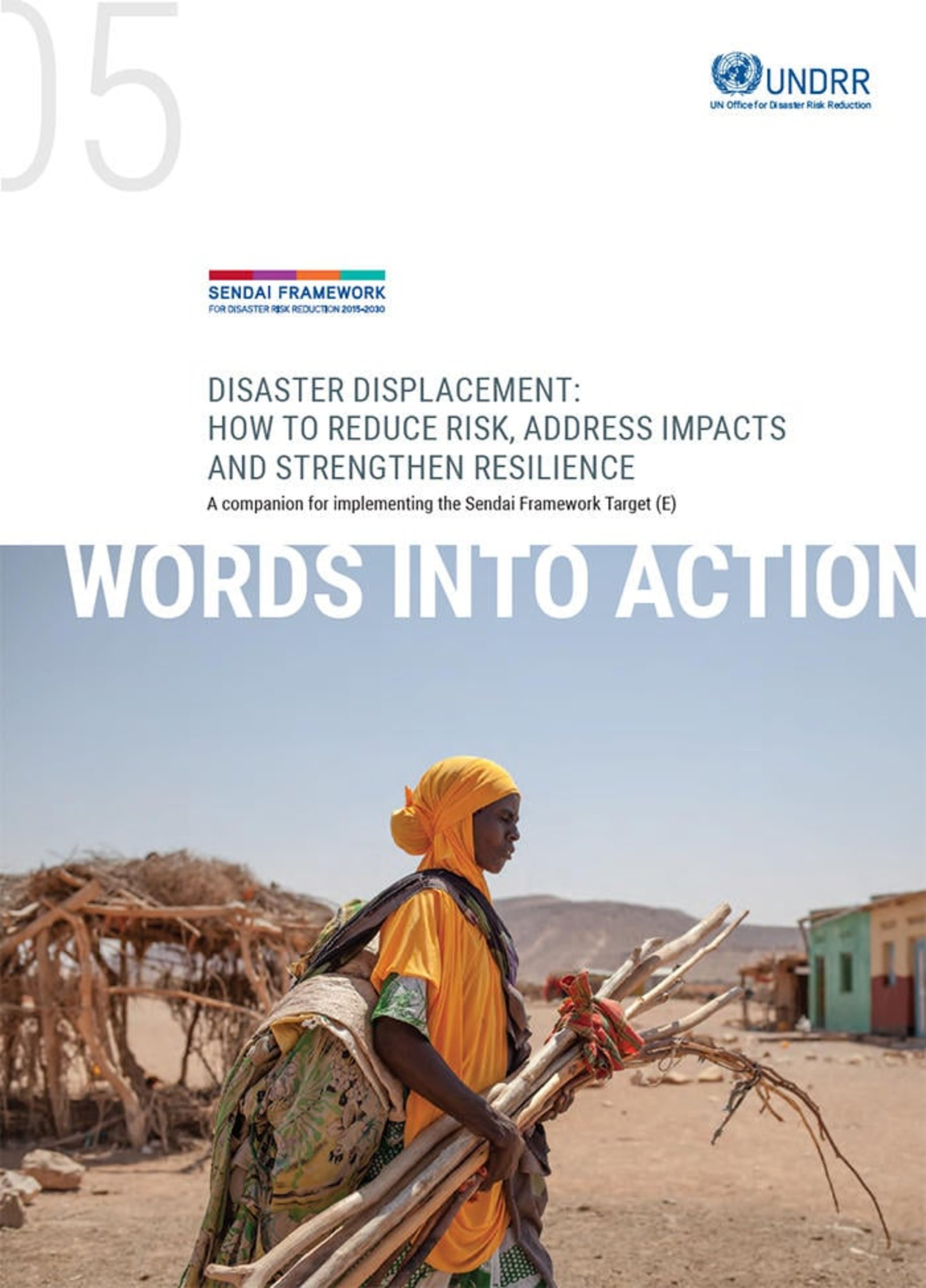Disaster Displacement: How to Reduce Risk, Address Impacts and