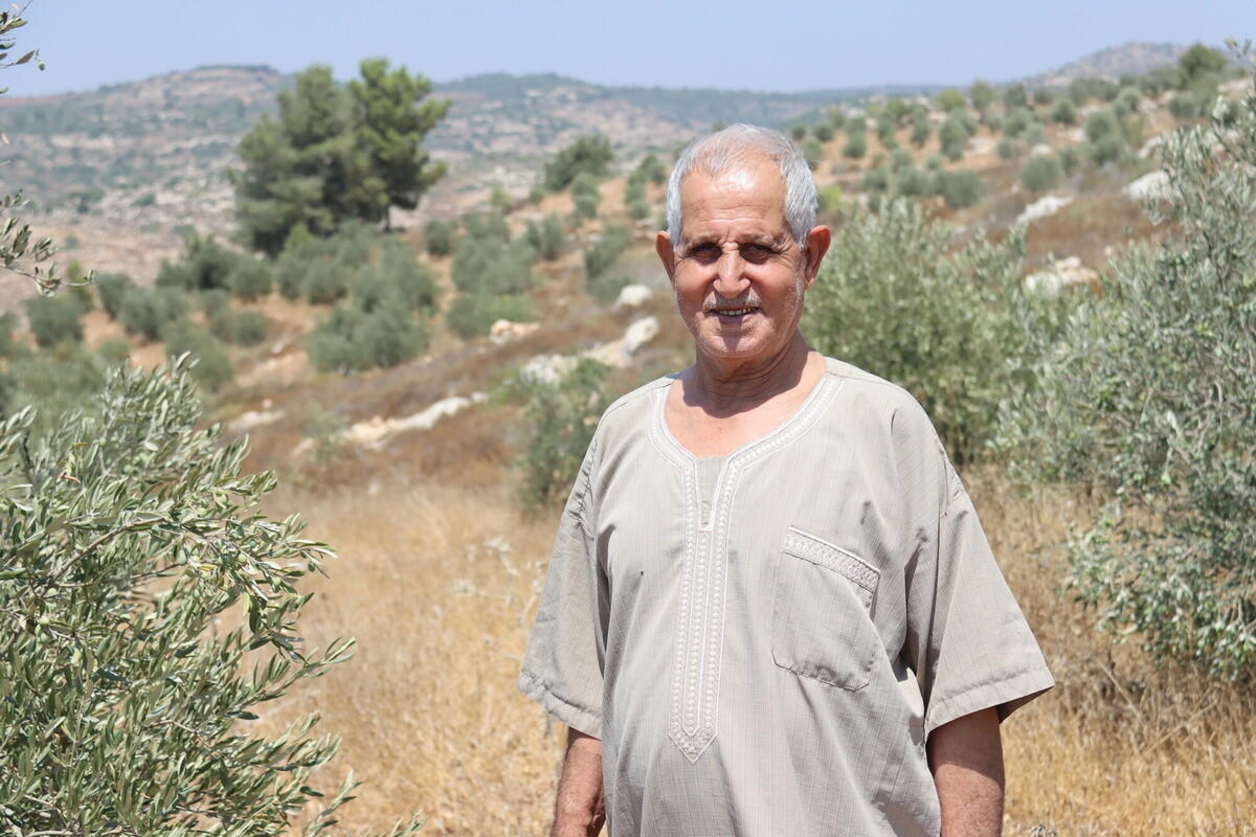 Planning for the future of Palestine | NRC