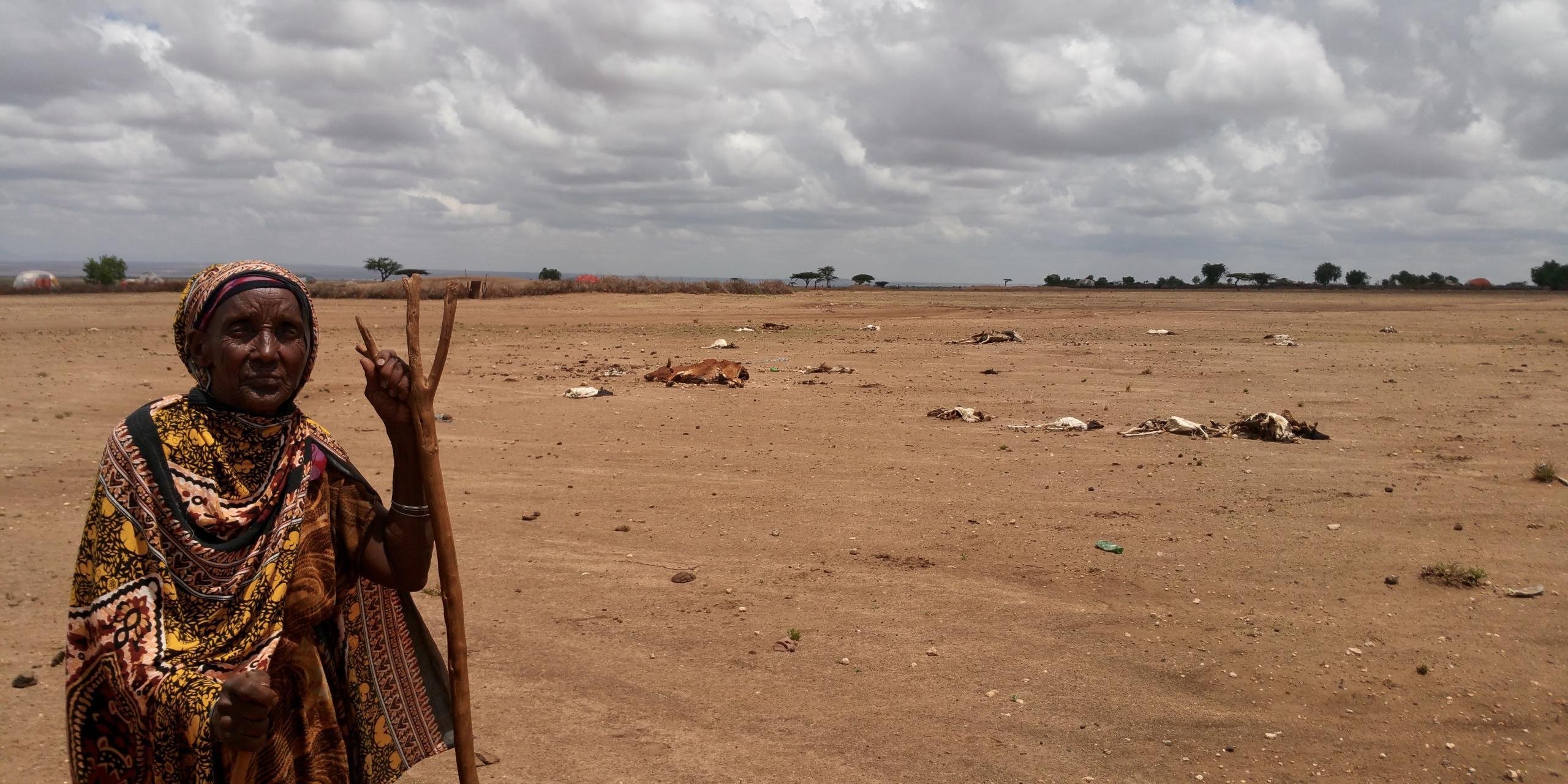 Drought affecting more than 10,2 million people in Ethiopia. This woman is in the Sitti zone of the Somali region.