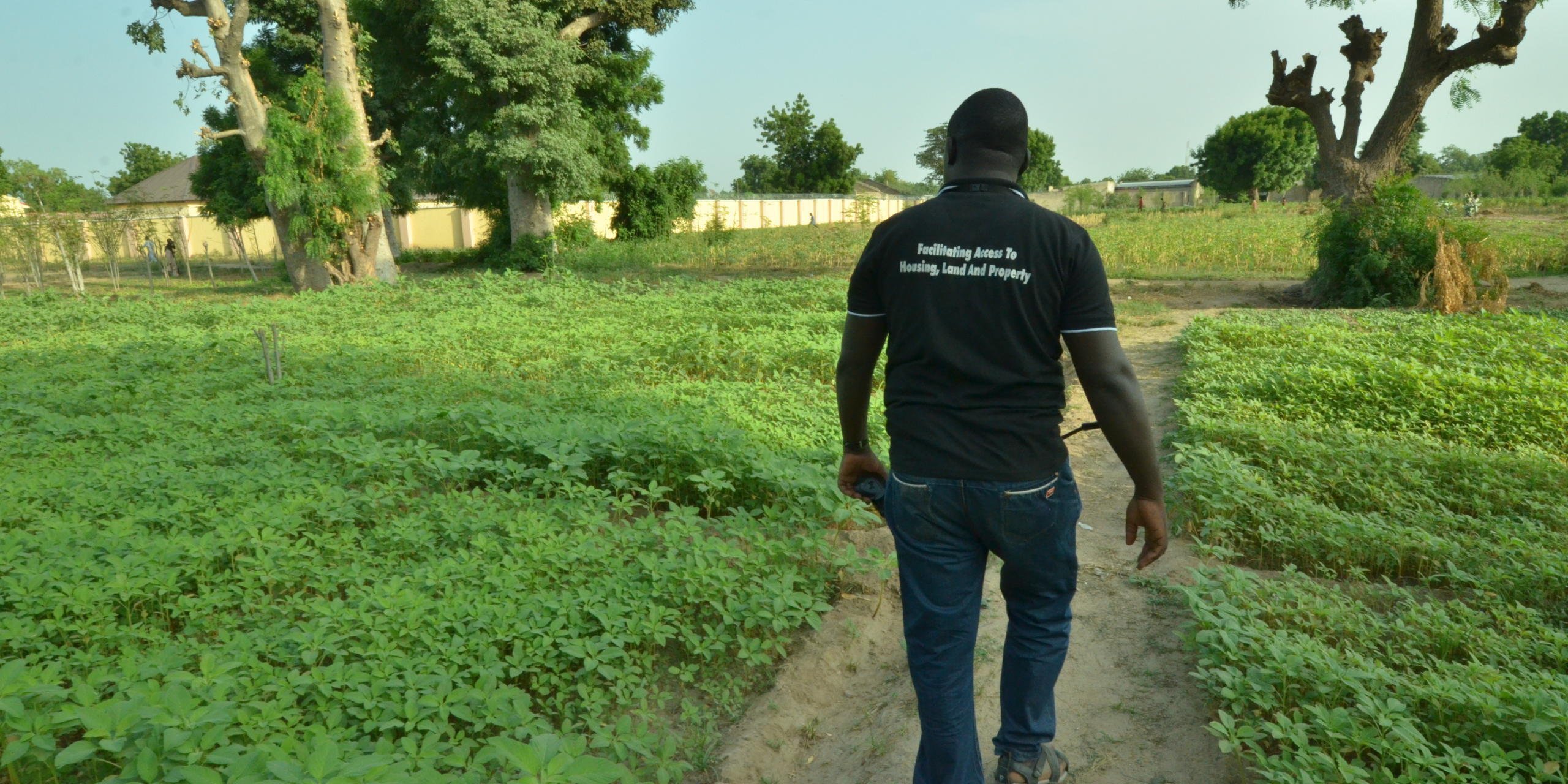 Nigerian-born Danladi Mamza teaches vegetable farming to communities on the run from Boko Haram.
Danladi is someone you instantly want on your team. He’s bursting with energy, enthusiastic and gives the impression he can do just about anything he sets his mind to. As a food security officer with the Norwegian Refugee Council in Nigeria, Danladi’s business is food. But that doesn’t always mean feeding people.
His most recent project has been teaching displaced communities in Nigeria’s war-torn northeast how to grow vegetables. Danladi organises a handful of people form a collective, and teaches them to farm in a communal garden. He provides them with the seeds to grow spinach, carrots and Amaratus, a local vegetable found in West Africa.
Mini-farm collectives
“Most of the people I work with were farmers before they fled their homes,” says Danladi. “But traditional farming. I teach them modern methods, using fertiliser and quick growing seeds. It’s been incredible to watch these mini-farms grow.
Now the local market sellers come to our farmers to buy their produce. Not only are they self-sufficient, but they are successful business people.”
Danladi has come a long way. In 2009, he and his siblings were forced to flee themselves, from their hometown of Maiduguri to Adamawa State. The armed group Boko Harm had overtaken Maiduguri and its residents fled. They looted and pillaged, burned down houses and killed civilians.
Danladi has since gone back, and feels a connection to the displaced communities he now helps. “I have gone through something similar to them,” he recalls. “I can relate.”
A region in crisis
Conflict has engulfed Nigeria’s northeast region for the past eight years. Over 1.8 million people have been internally displaced, and another 220,000 have fled across the border to neighbouring Cameroon, Chad and Niger.
In addition to the conflict, the region has been on the verge of famine this year. Some 5.2 million people are food insecure, and almost half a million children are severely malnourished. Work like Danladi’s is crucial to help reverse the food crisis.
Despite the humanitarian situation, Danladi is optimistic about the future of the region where he was born and bred; “Our people are resilient. They will come back from this even stronger.”
Date: 5 October 2017
Credit: Norwegian Refugee Council / Michelle Delaney