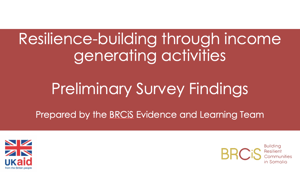 First slide of the "Resilience-building through income generating activities" PowerPoint presentation. 
