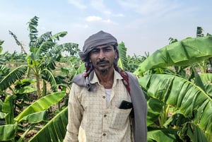 Voices of Yemen