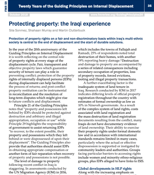 Protecting Property: the Iraqi Experience