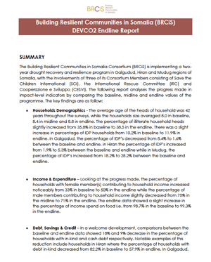 Front page of the "BRCiS DEVCO 2 Annual Survey Endline" report. It shows a text summary of the full report.