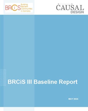 Front page of "BRCiS III Baseline Report".