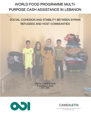 Social cohesion and stability between Syrian refugees and host communities, report thumbnail