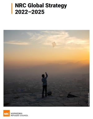 NRC Global Strategy 2022-2025