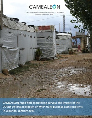 CAMEALEON rapid field monitoring survey: The impact of the COVID-19 total lockdown on WFP multi-purpose cash recipients in Lebanon, January 2021