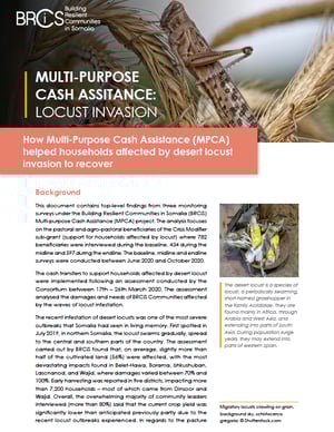 Front page of the "Multi-purpose cash assistance: Locust invasion" report. 