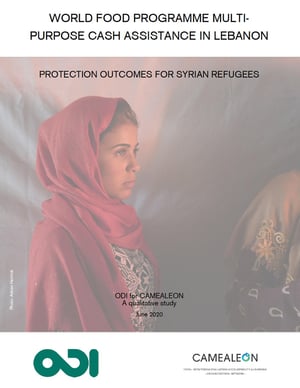 Protection outcomes for Syrian refugees, report thumbnail.