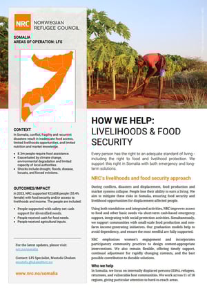 Front page of "How we support: LFS"