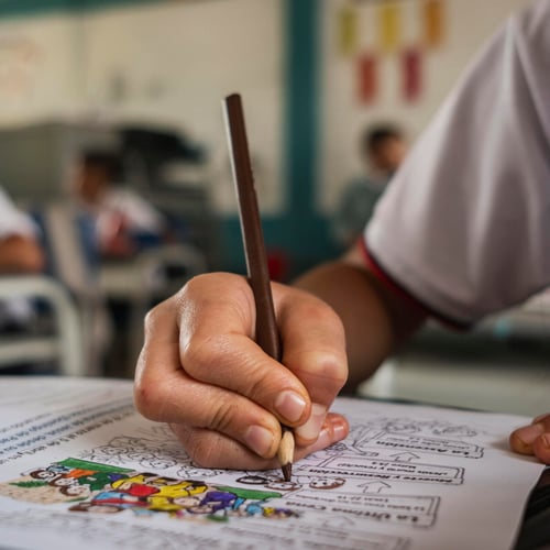 Under attack: learning in war zones