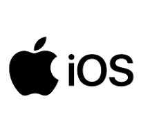 Download Any Desk