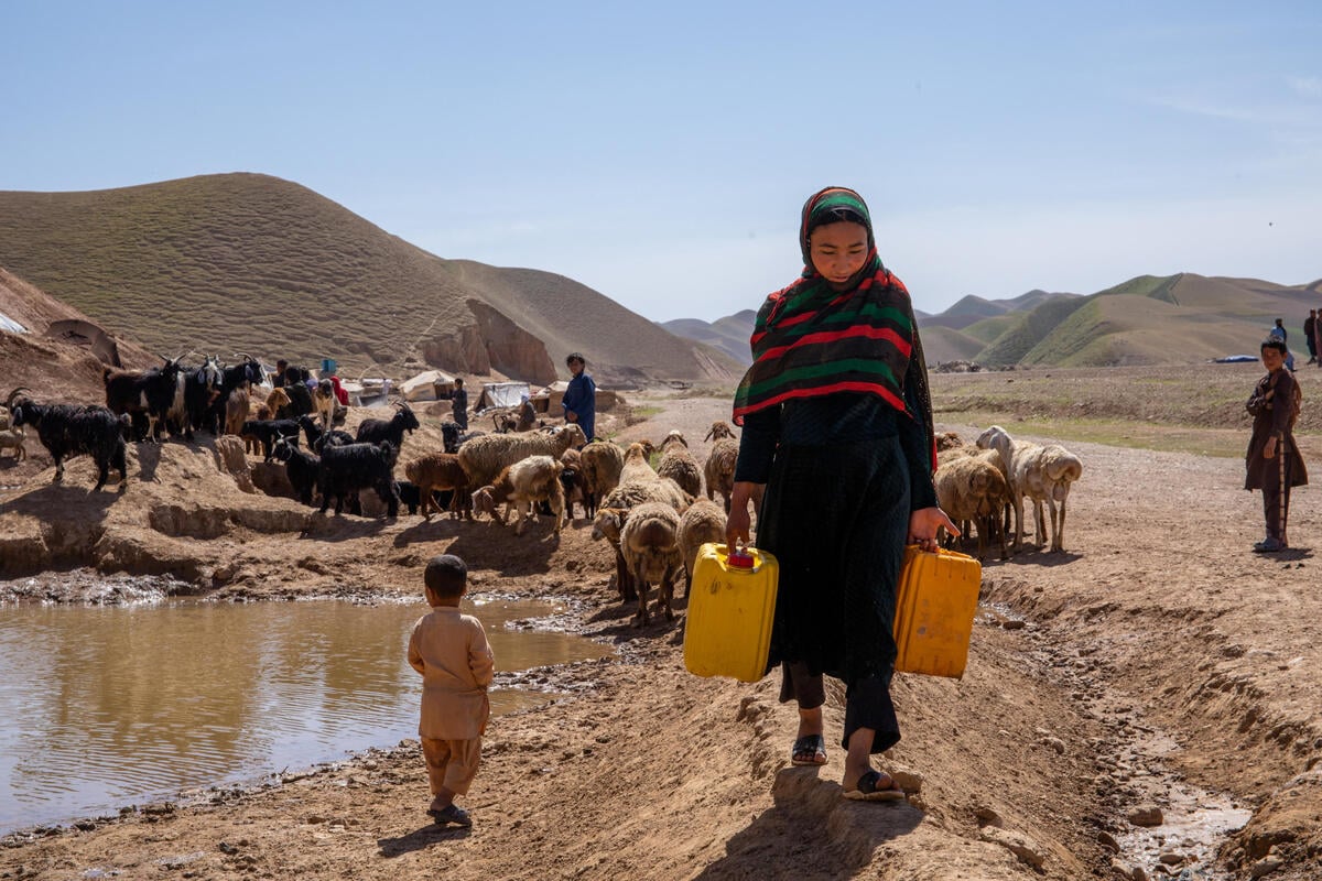 Severe drought threatens three million Afghans | NRC