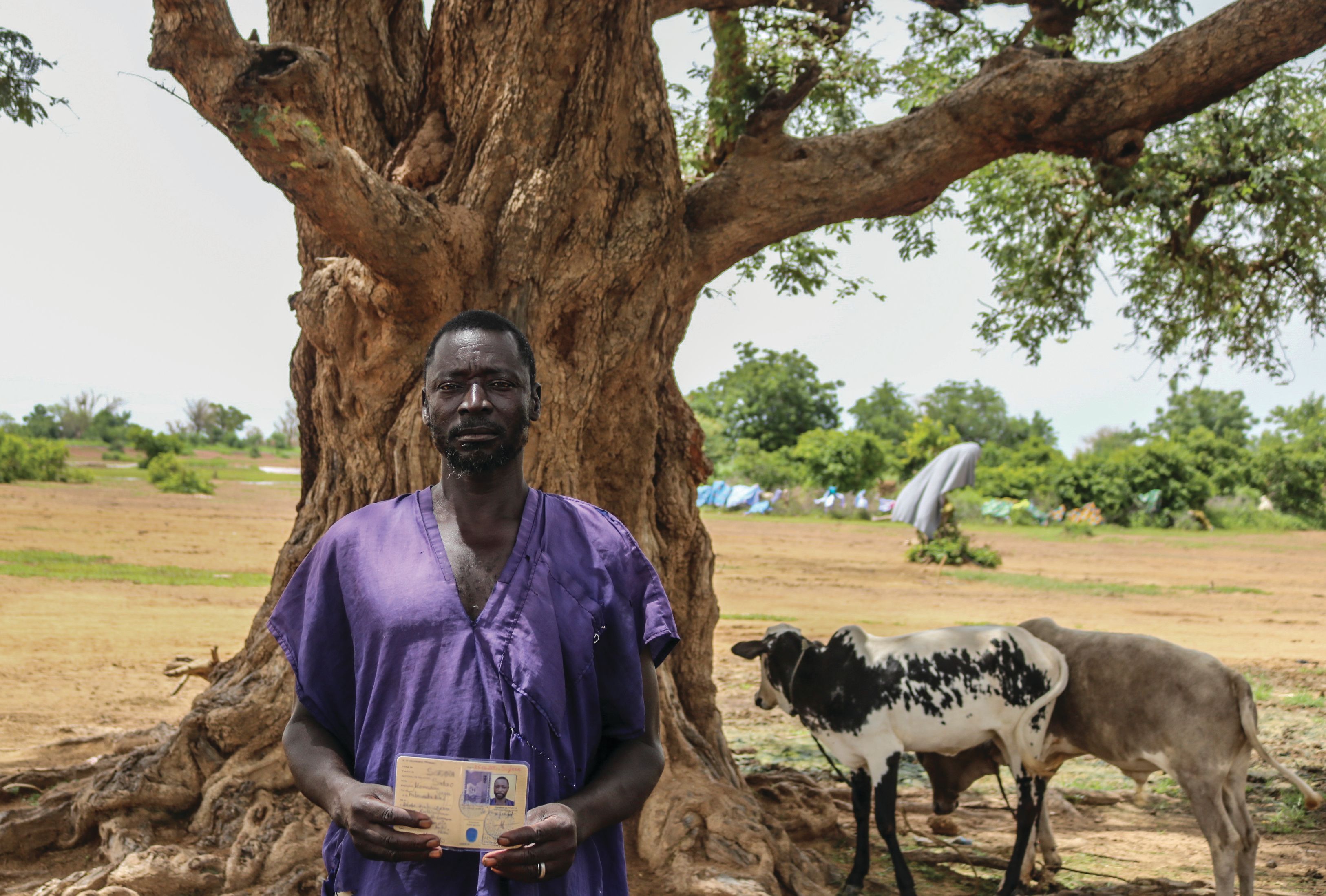A man is standing under a tree, holding his newly obtained legal documents.