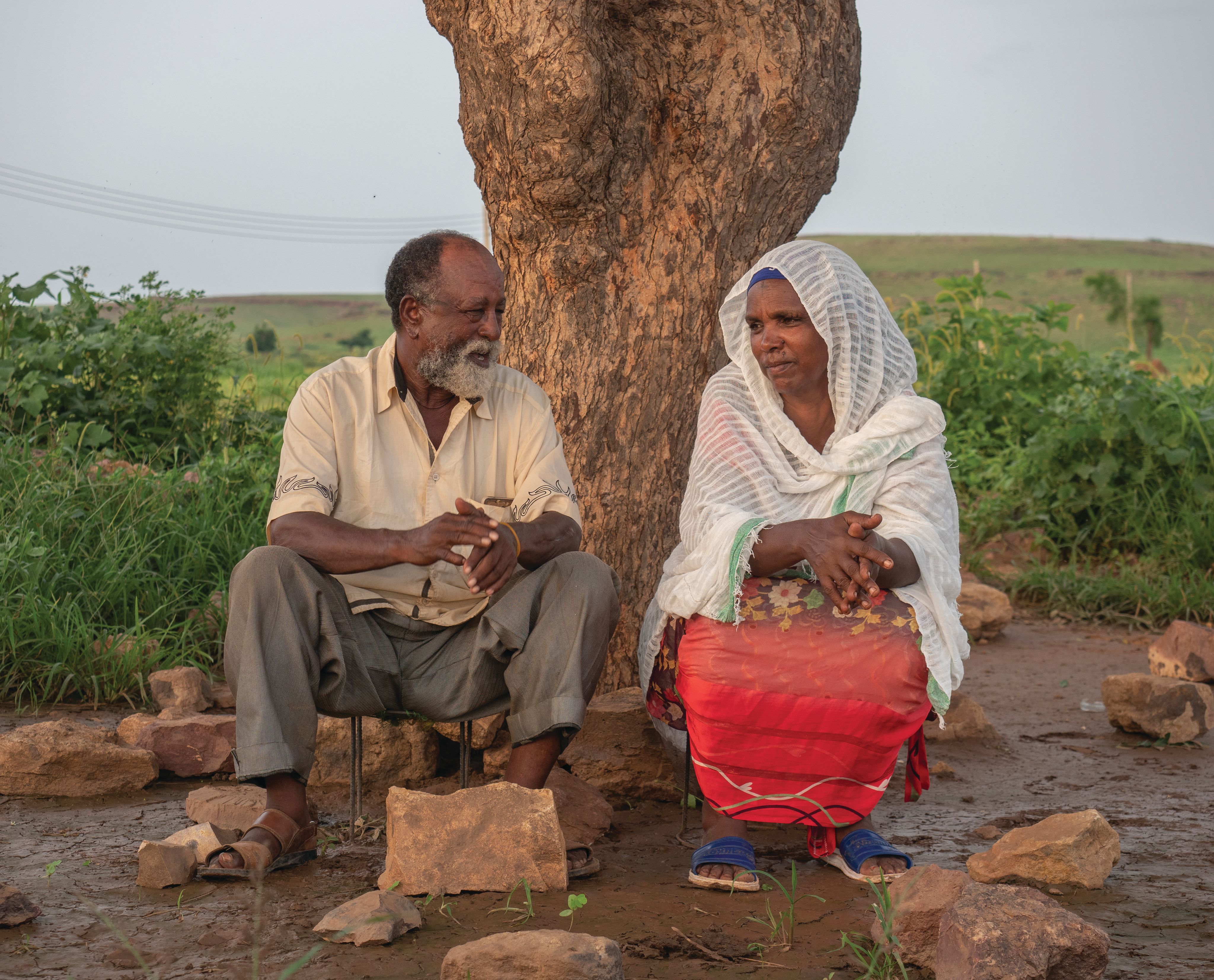 A married couple sitting next to each other under a tree.