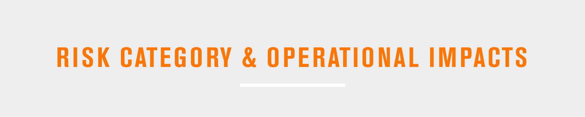 Risk category & operational impacts