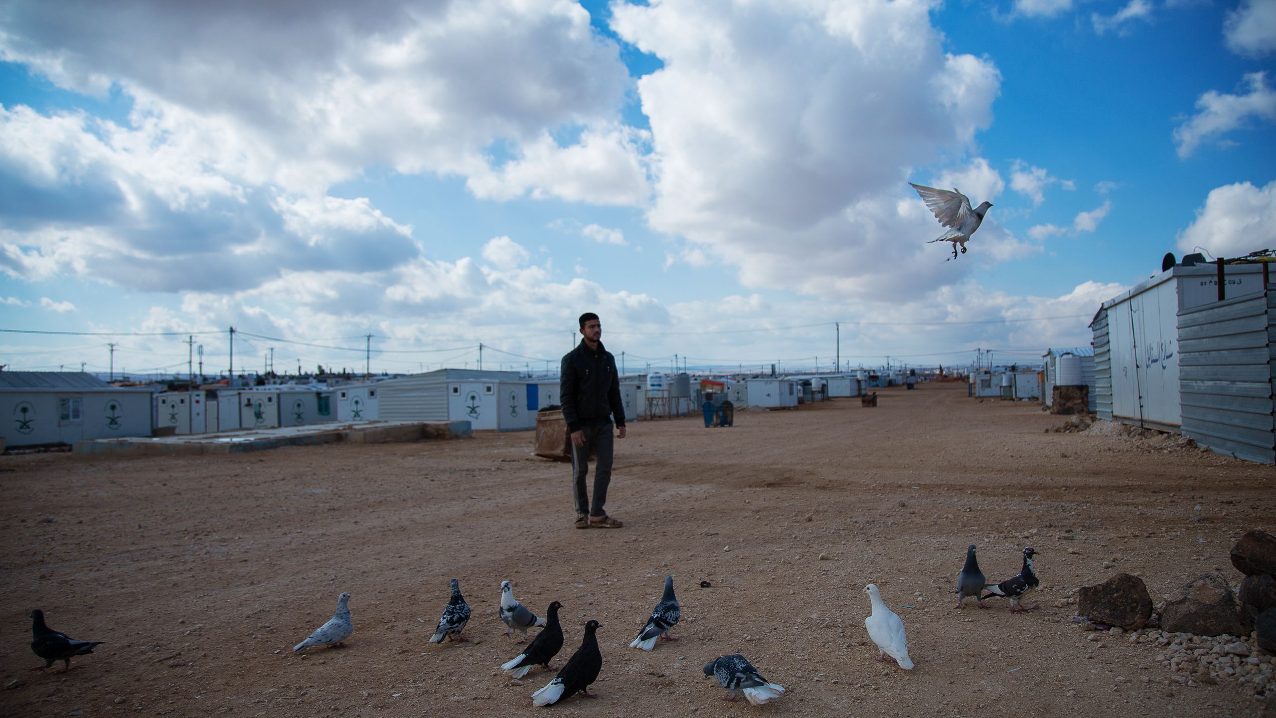 En ung mann jobber som dueoppdretter i Zaatari-leiren i Jordan.
