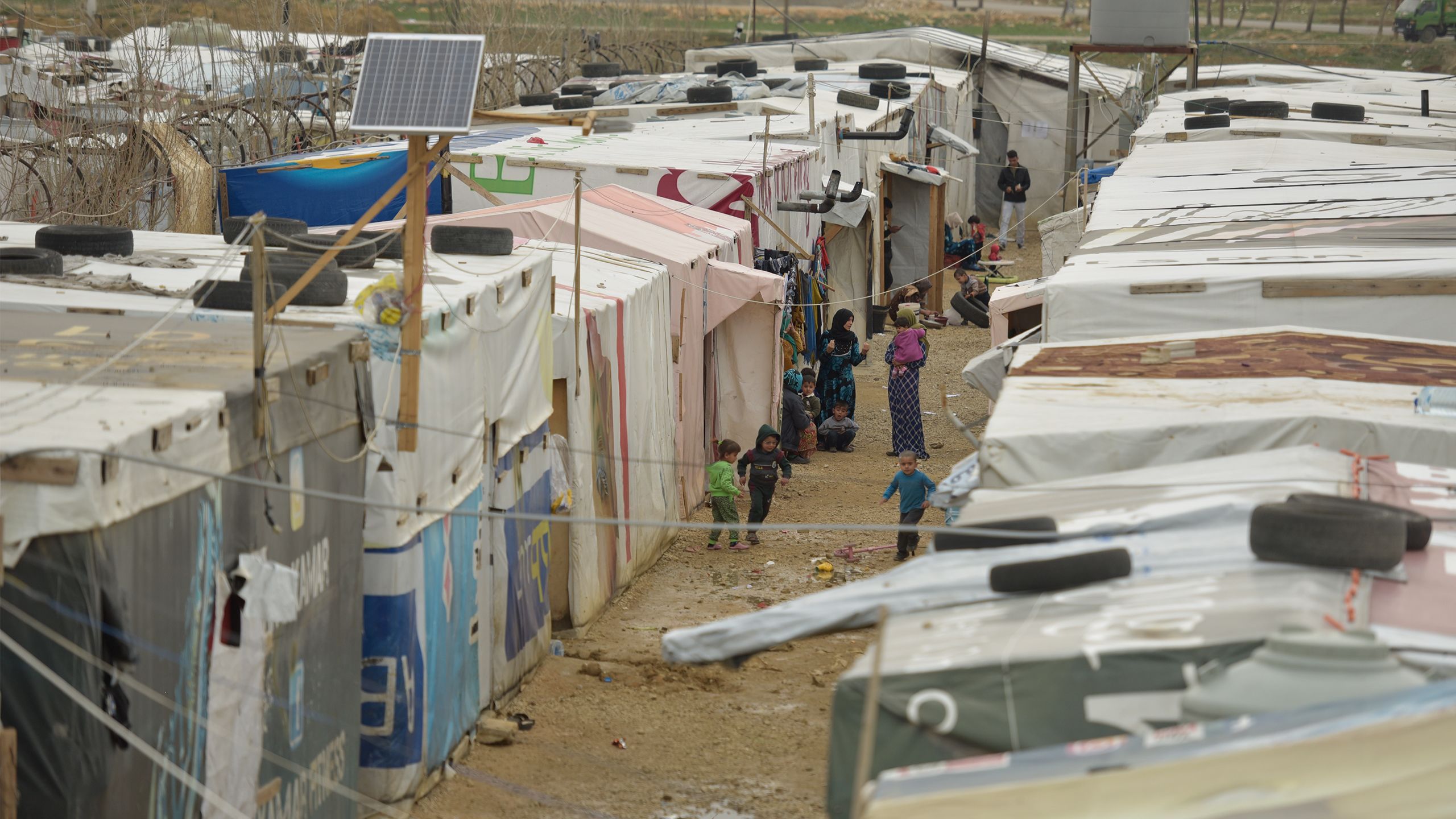 Tents in long rows in a camp in Lebanon.